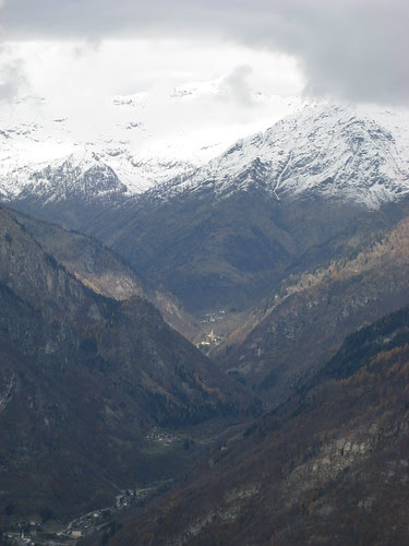 Il gruppo del rosa