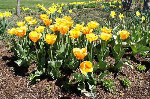 DSC02051_edited-1