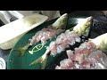 √ダウンロード ワカシ 刺身 171182-わかし 刺身