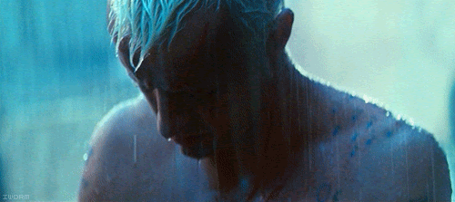 Florianópolis – Previsão do tempo para hoje: Blade Runner.