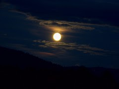 CRW_2417