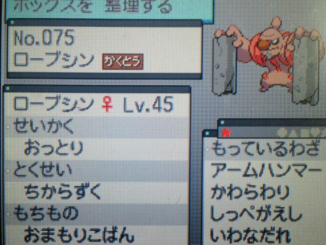 ゲームやってる時間が無い ポケモンbw2 フライゴン
