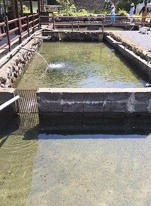 釣り堀cafe二見 奥多摩で釣り体験 バーベキュー q