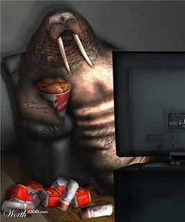 SmileCampus - Fat Animals