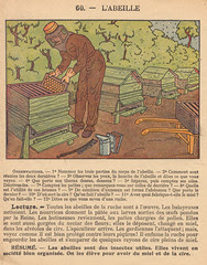 premchoses p62