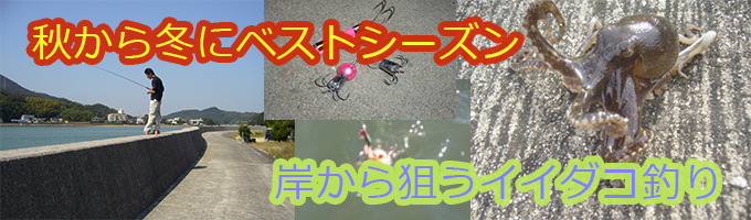 イイダコ釣り 瀬戸内海 防波堤 おかっぱり からのイイダコ釣り 釣りの総合情報サイト Fishing Information フィッシング インフォメーション