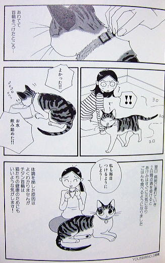 W 毒ブログ W 濃厚小樽一泊其の４ おまけ編 撮影６月３日