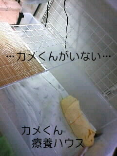 爪もげる こっそり手作りの森