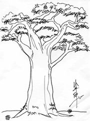 バウムテストとは