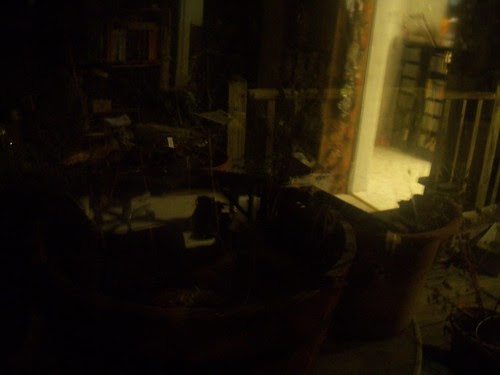 100_5001 by jim leftwich