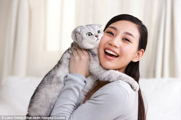 A study by the University of California, Berkely examined personality traits of pet owners. They found that cat people (stock image shown) were more creative and dog owners were more extroverted. But both were overbearing when it came to their pets - a trait that is usually an annoyance for children