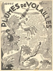 plumes volailles