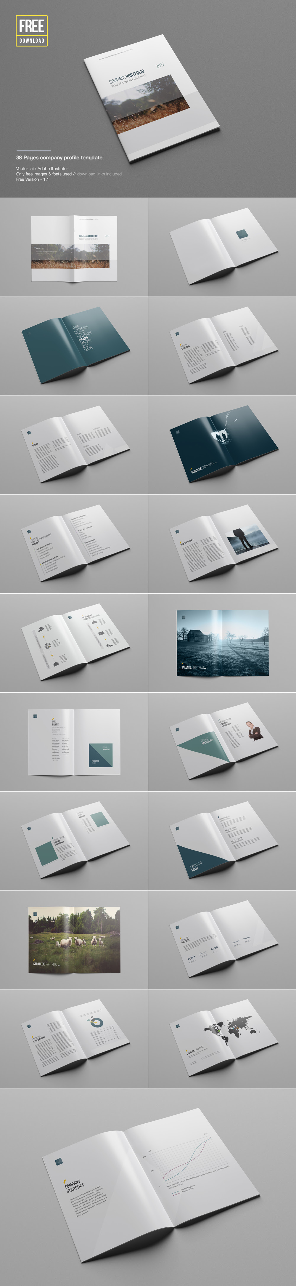 Download Company Profile Template (Vector / Psd)