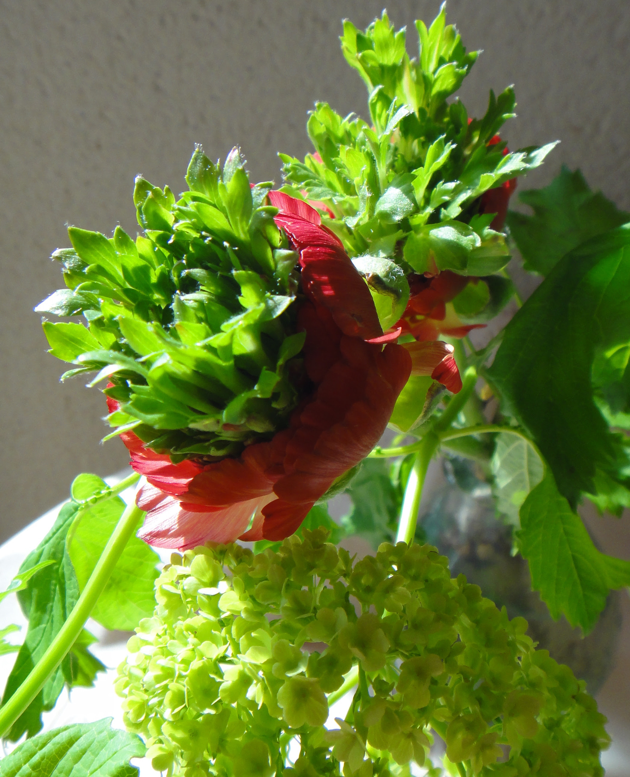 Flower Design Mio Mano Blog Archive お花の中から 葉っぱが