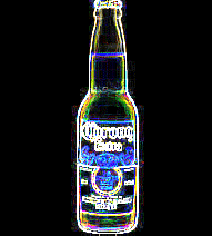 Corona Extra :: Guys :: MyNiceProfile.com