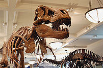 Modified version of http://en.wikipedia.org/wi...