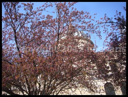 P3050224