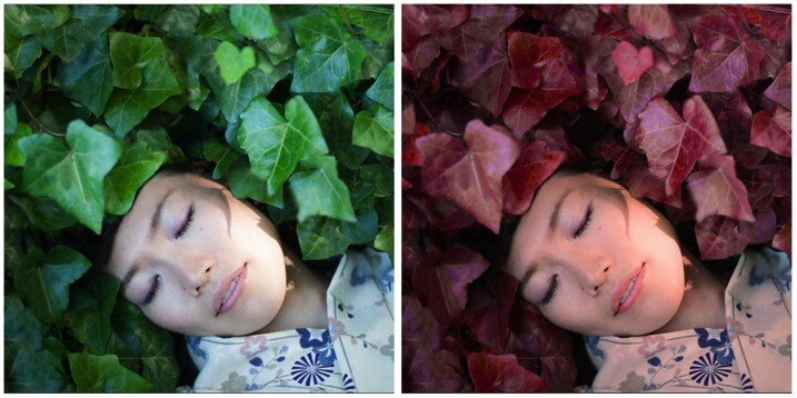 Picture01 before after