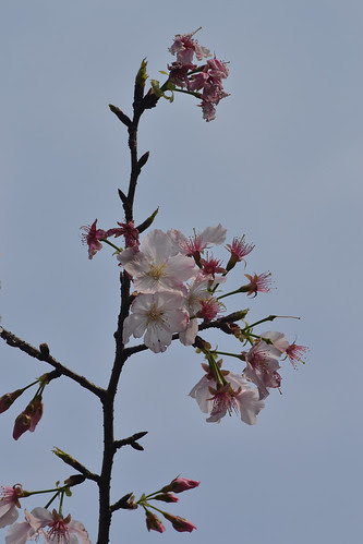 DSC_1939