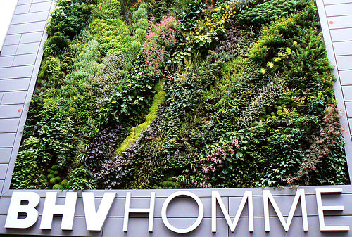 vegetal wall