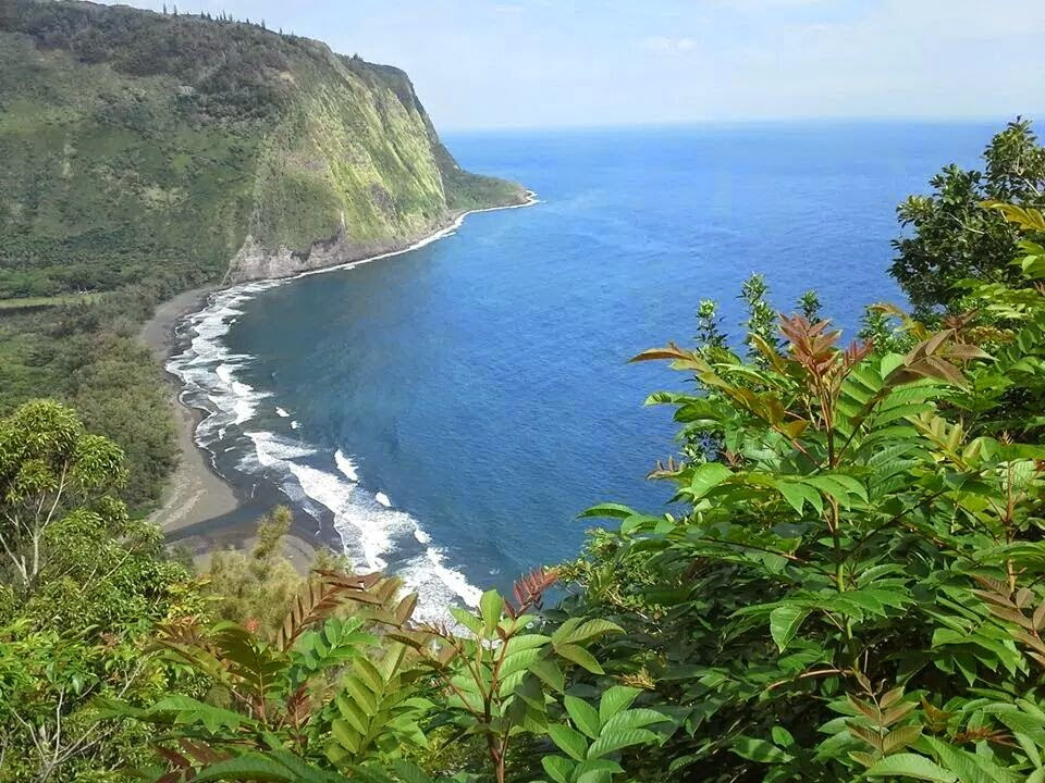 Mother Nature