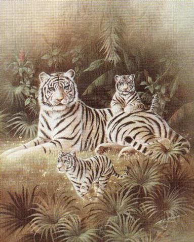 animaux
