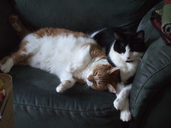 Mosen and Aiden