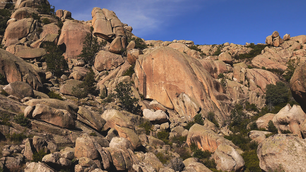 RISCO DEL CAPARAZON Y TRILOBITES