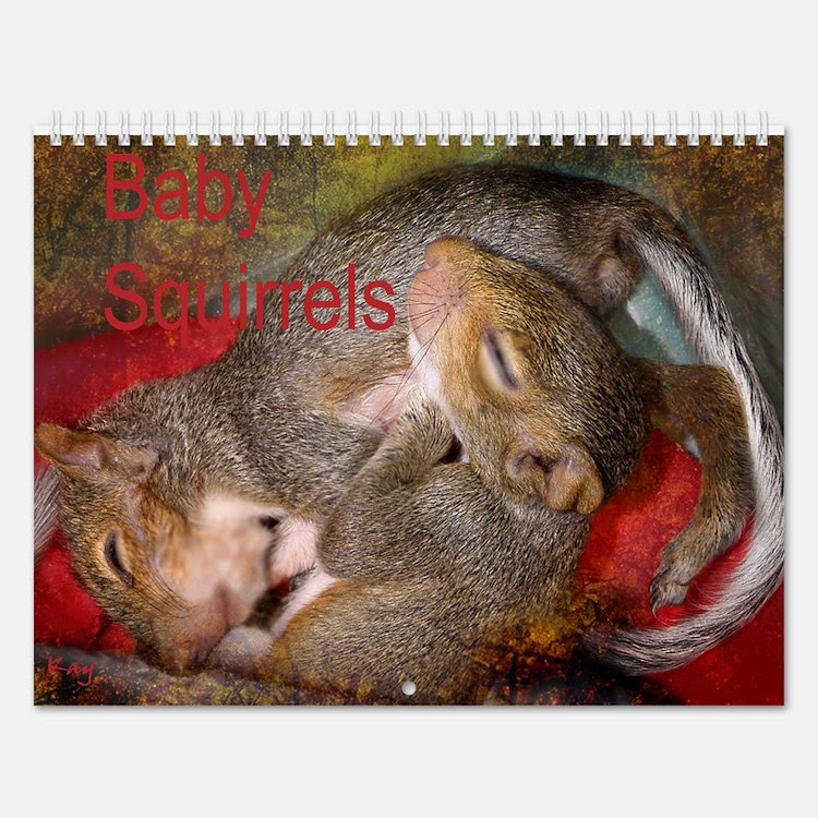 Squirrels Calendars Squirrels Calendar Designs Templates