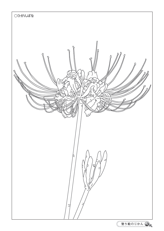 9月の花ぬりえ 塗り絵のじかん
