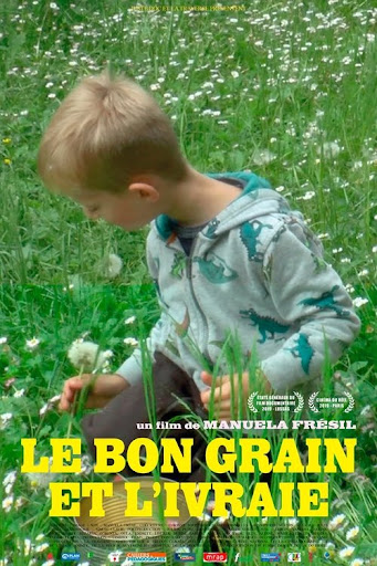 Kép