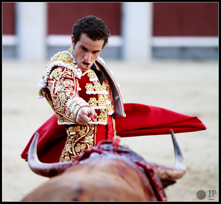 andres-palacios-11