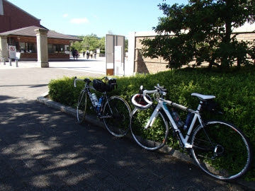 大学