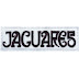 Jaguares Banda : LA BANDA JAGUARES SE PREPARAN PARA MACHACA - VINIL : Jaguares de jacksonville, equipo de fútbol americano estadounidense.