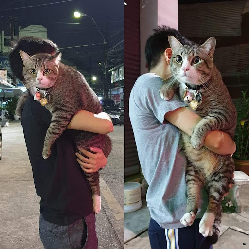 Hình ảnh
