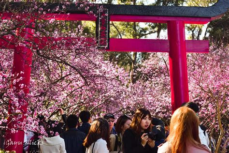 japanese culture traditions explore  traditional