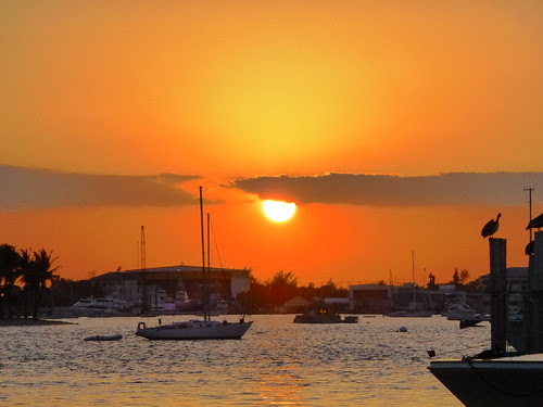 Florida's Sailfish Marina