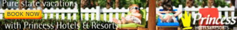 Princess banner
