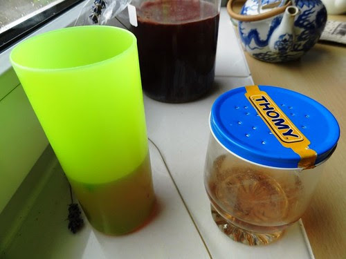 Fruchtfliegenfallen offen und geschlossen von der Seite