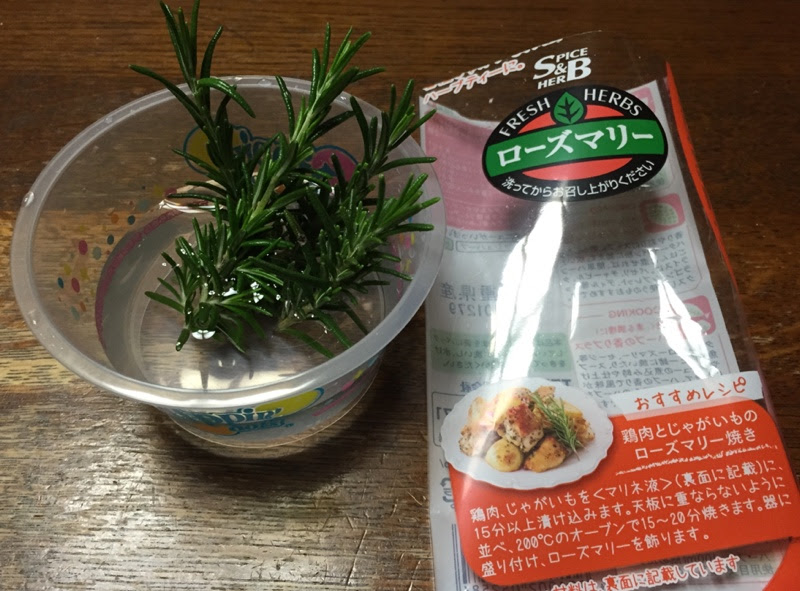 食用ローズマリーで挿し芽栽培 すくすく水耕栽培 水耕栽培のブログ