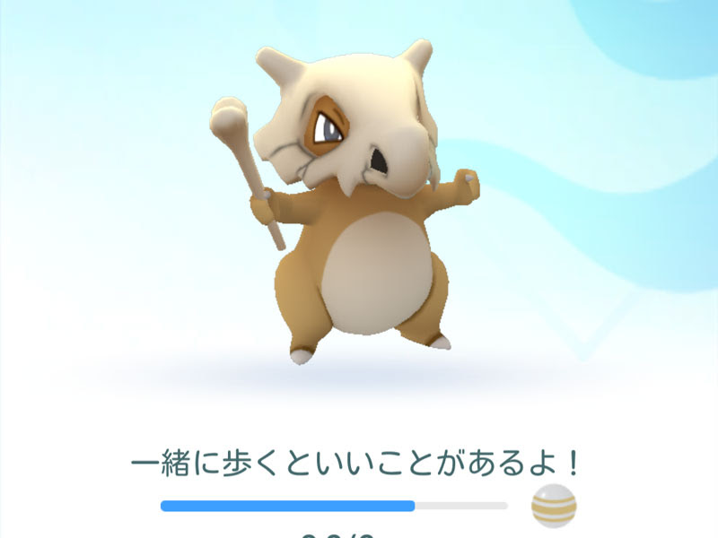 世界で一番カラカラが好きなクマ ろじねこ生活