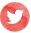 twitter photo icon4.jpg