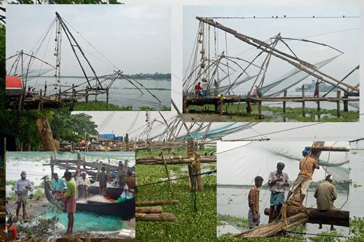 girls with mustaches. Girls With Mustaches 5x7