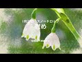 √ダウンロード 1月22日 诞生花 585805-1月22日 诞生花