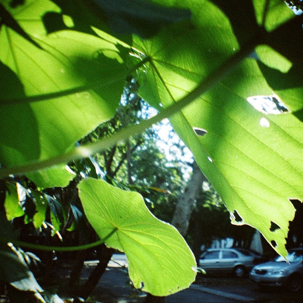 000131530012.jpg 000131530012.jpg