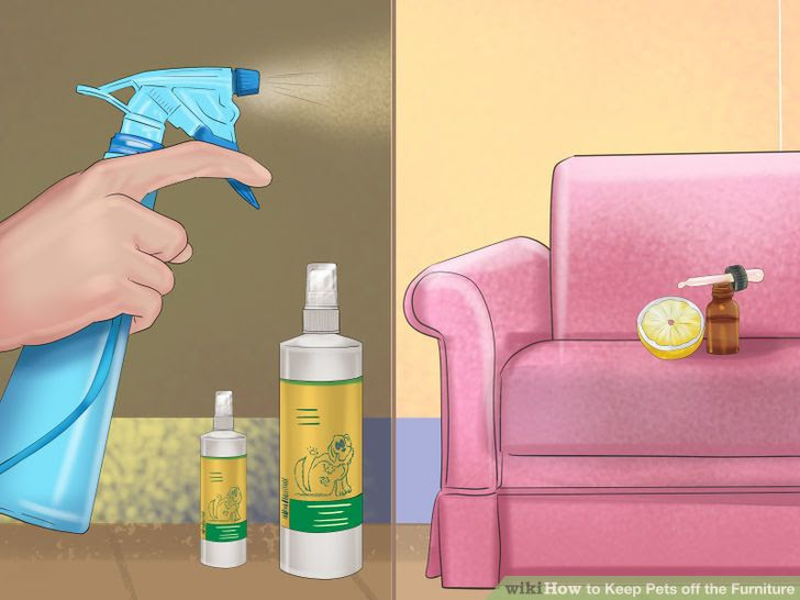 Keep Pets off the Furniture Step 17.jpg