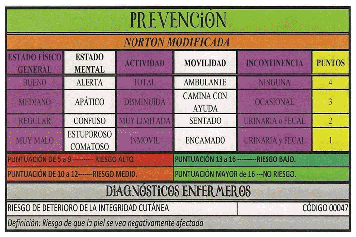 ESCALA DE NORTON MODIFICADA