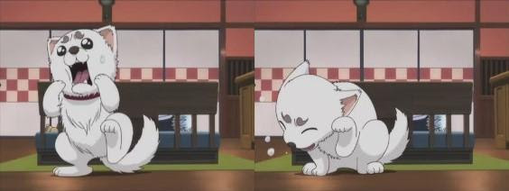 銀魂 173 B 見た目ではなく中身といっても限度がある きまぐれ日記