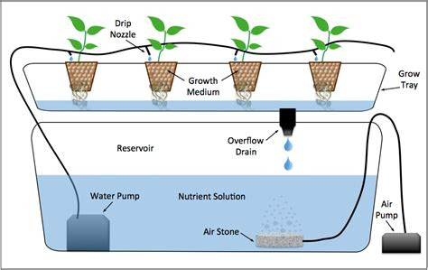 diagram   drip system hydroponic setup hydroponics system