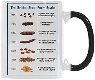  bristol stool color chart stools item